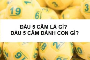 Đầu 5 câm hôm sau đánh con gì may mắn cả năm