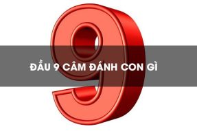 Đầu 9 câm hôm sau đánh con gì trúng liên tục