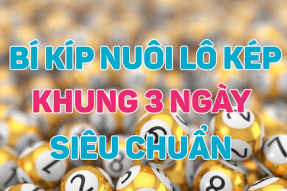 Nuôi lô kép khung 3 ngày 247 số đẹp, tự tin vào tiền