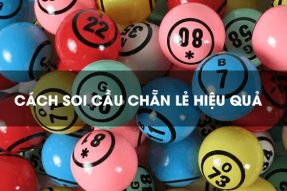 Soi cầu chẵn lẻ miền bắc chính xác, đạt tỷ lệ thành công cao