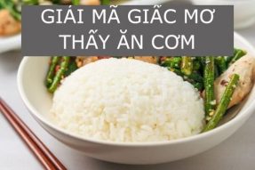 Mơ thấy ăn cơm điềm gì? Mơ thấy ăn cơm đánh con gì?