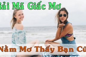 Giải mã giấc mơ thấy bạn cũ? Mơ thấy bạn cũ đánh con gì