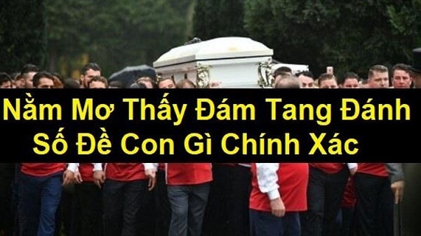 mơ thấy đám ma đánh con gì 