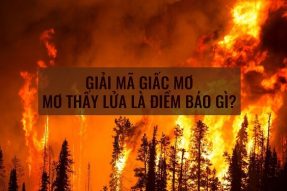 Mơ thấy lửa điềm gì? Nằm mơ thấy lửa cháy đánh số mấy?