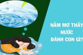 Ý nghĩa giấc mơ thấy nước? Nằm mơ thấy nước đánh con gì