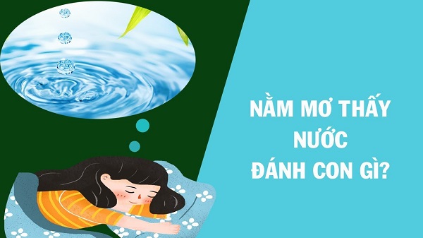 nằm mơ thấy nước đánh con gì 2