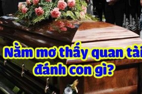 Giải mã giấc mơ thấy quan tài – Nằm mơ thấy quan tài đánh con gì?