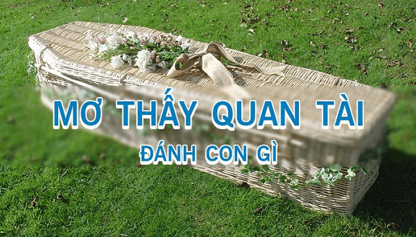 mơ thấy quan tài đánh con gì 2