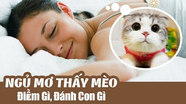 con mèo số mấy 